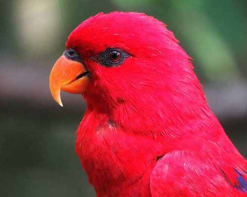 My Experience with Anxiety and Depression