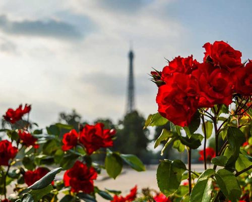 Travel: Exploring the World on My Own