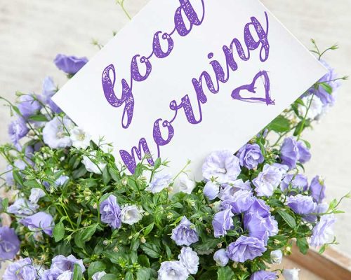 Perspective: Seeing Life Through New Eyes