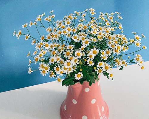 Living: Lessons Learned Along the Way