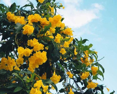 Breaking Free from Conventional Wisdom